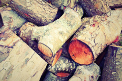 Ways Green wood burning boiler costs